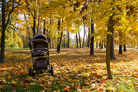 buggy standing in the forest in autumn season.の写真素材