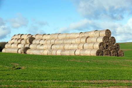 Photo made at the agricultural farm for the production of agricultural products