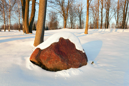 white snow lying on the ground in winterの写真素材
