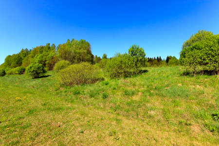 photo nature, trees in autumn, the Republic of Belarusの写真素材