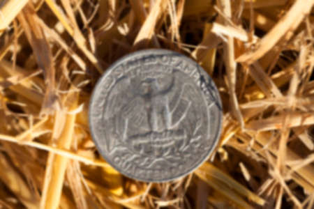 photographed close-up of an American coin in 25 cents in a pile of straw left after harvest, defocusedの写真素材