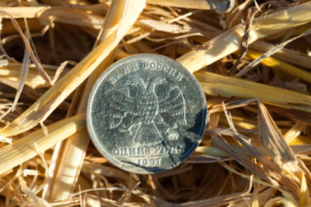 photographed close-up of one Russian ruble pile of straw left after harvest, defocusedの写真素材