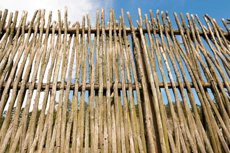 old fence made of branches and twigs, close-up, small depth of field