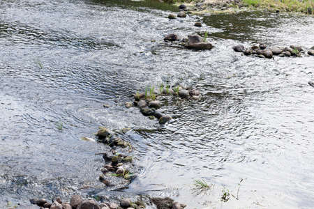 the territory on which there is a swamp, the summer season of the year end, Belarusの写真素材