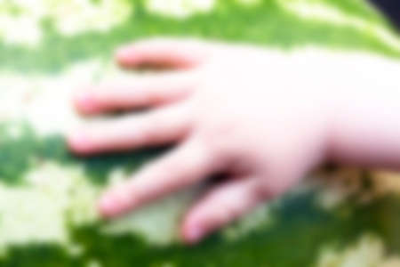 photographed close-up of a hand lying on green ripe watermelon, defocusの写真素材