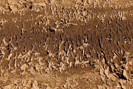 plowed land, to grow and produce a new crop