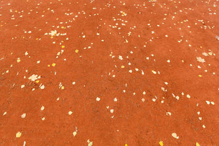 photographed close-up of red gravel, for walking peopleの写真素材