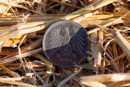 Agricultural field on which the harvesting of cereals, wheat.の写真素材