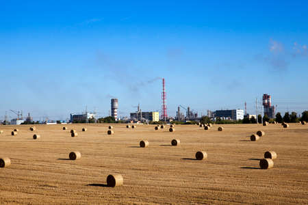 Agricultural field on which stacked straw haystacks after the wheat harvestsの写真素材