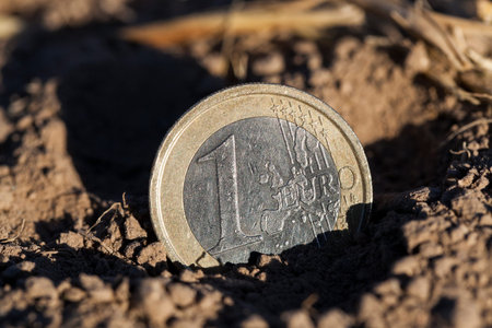 photographed close-up of a European euro, lying on the ground, an agricultural field
