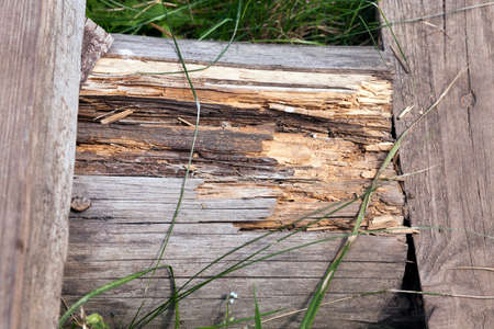 lying on the ground of an old wooden ladder, on which there are traces of the resolution and rotting's photos close-upの写真素材