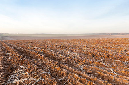 photographed close-up of plowed agricultural field, the land is covered with white frost. blue sky,