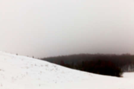 forest photographed during the winter after the last snowfall, fog and poor visibility space silhouettes of trees and mist in the field, defocusedの写真素材