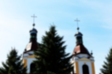 photographed close-up of green horseradish leaves in the spring time of the year, defocusの写真素材