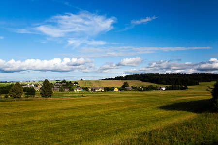 photographed close-up grass green immature. the background blue skyの写真素材