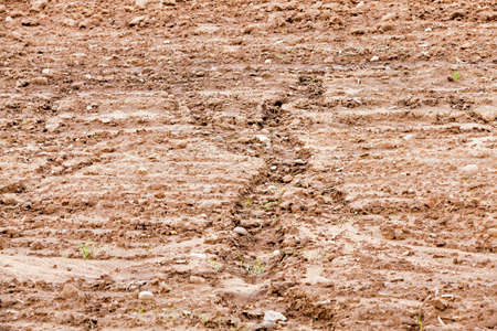 plowed for sowing new crop land is brown in color, photographed close-up, traces of the past and the present of rain waterの写真素材