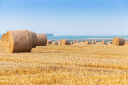 Agricultural field on which stacked straw haystacks after the wheat harvest, defocusの写真素材