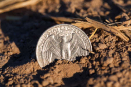 photographed close-up of an American coin in 25 cents in a pile of straw left after harvest, defocusedの写真素材