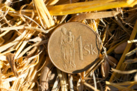 Agricultural field on which stacked straw haystacks after the wheat harvest, defocusの写真素材