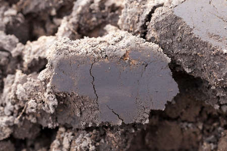 photographed close-up of plowed agricultural field for planting a new cropの写真素材