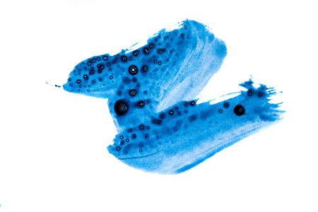 painted with a brush paint, isolated on white background, blue pattern