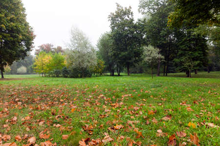 autumn landscape, parkの写真素材