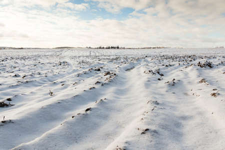 plowed field under snowの写真素材