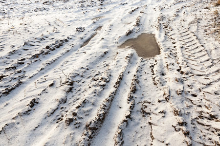 land covered with snow