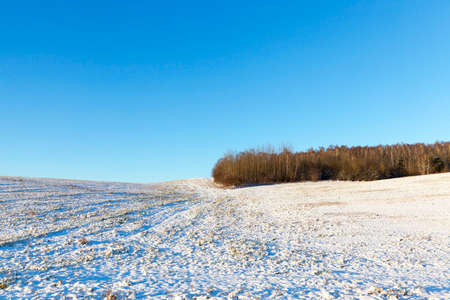 landscape in winterの写真素材