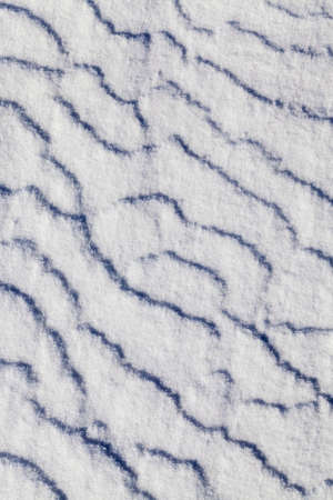 snow surface, winterの写真素材