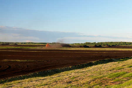 peat bog, summerの写真素材