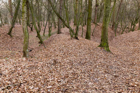 Photo autumn parkの写真素材