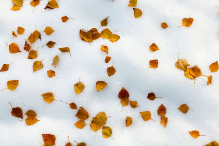 snow drifts, close-upの写真素材