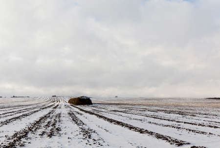 snow photographed in the winter season, which appeared after a snowfall. close-up,の写真素材