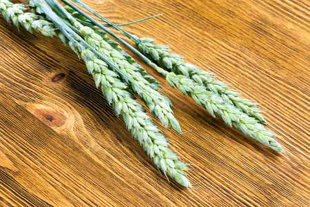 green triticale lying on a wooden board. immature ears are photographed close-up with a shallow depth of fieldの写真素材
