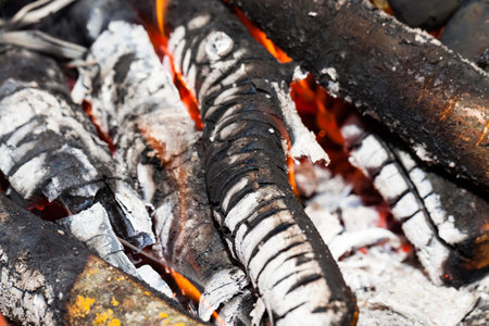 black and white charcoal and wood burned in the fire while enjoying the outdoors. Photo taken...