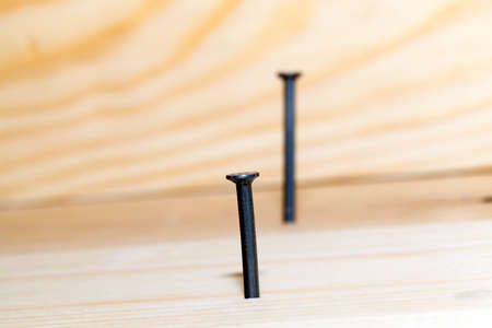 hammered into the plank of pine wood floor several metal nails during the construction work. Focus on the first nail. photo close upの写真素材