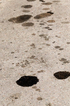 black stains of engine oil on an asphalt road. photo close-up at an angle, shallow depth of fieldの写真素材