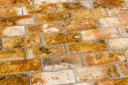photographed close-up of a yellow old brick used as a floor.の写真素材