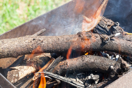 Burning logs in the barbecue before cooking meat dishes. Rest in the park. Photo close up