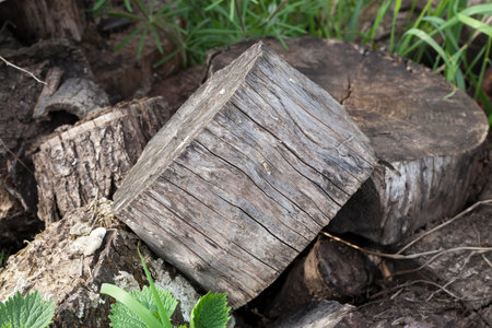 Old stumps and firewood in gray for lighting a stove. Photo close-up background of wooden elements.