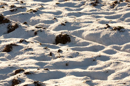 snow lying in snowdrifts after the last snowfall. Picture in winter with little depth of field. Through the snow you can see the land from the plowed agricultural fieldの写真素材