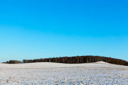 field covered with snow drifts little word. Winter season, landscape photo.の写真素材