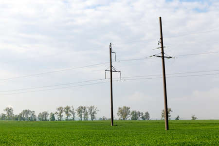 Power lines fixed to concrete poles. Photo landscapesの写真素材