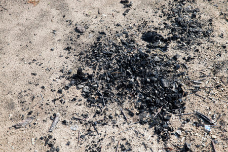 Black coals from burned wooden logs. Photo close up
