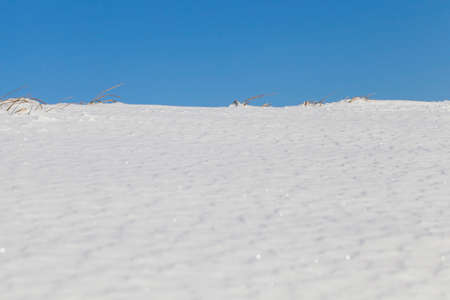 land covered with snow in the winter season. On a snowdrift, irregularities and lines are visible. On the top of the hill, a dried plant on which focus is directed. Blue sky in the backgroundの写真素材