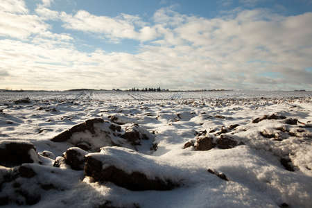 photographed snow after a snowfall during a frost. Close-up with a shallow depth of fieldの写真素材