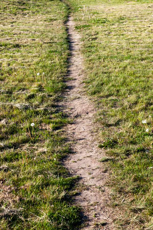 Trampled in the grass path in the field. Photo spring close-up. Feed at the top and at an angleの写真素材