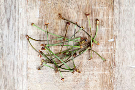 Thin green tails from the eaten cherries, stacked on a wooden surface. Photo close upの写真素材