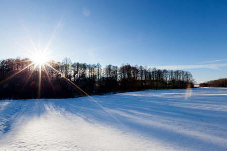 blue sky and lying in the field and forest trees snow in the winter season. Sunny day, on the left you can see the sun and rays.の写真素材